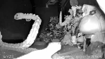 I have no idea what happened here, but I also can't stop laughing at it