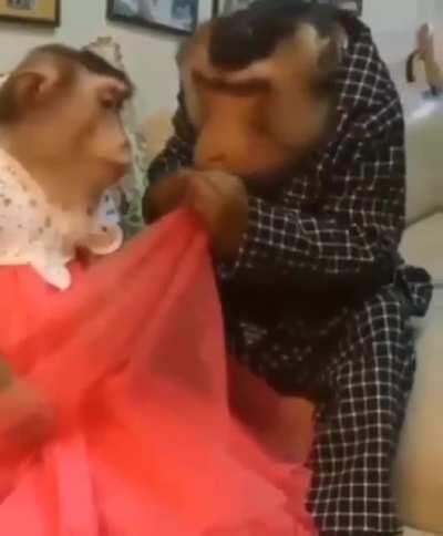 Monke love moment