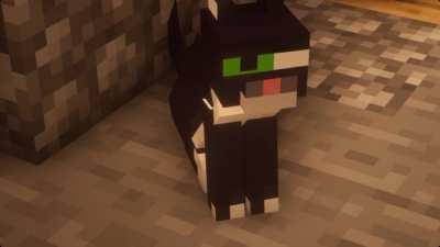 Thanks I hate Minecraft cat