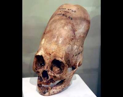 Saw that image on this subreddit, and got an idea for the unfunni meme