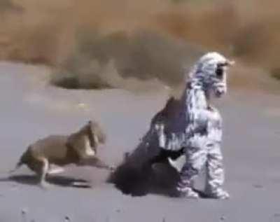 Impersonating a prey!