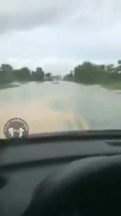 Um clássico do audiovisual brasileiro 