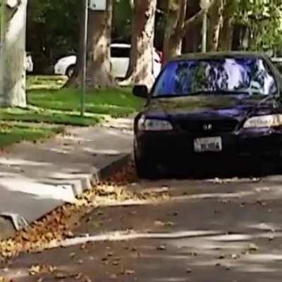 Sorry for the language.