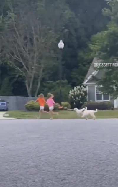 On Today's episode of Kid vs. Dog