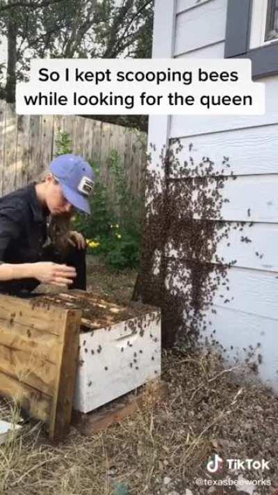 This lady is awesome! Save the bees!