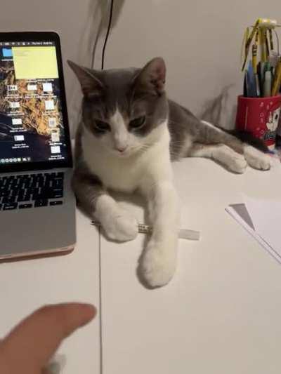 And 100th reason not to study.