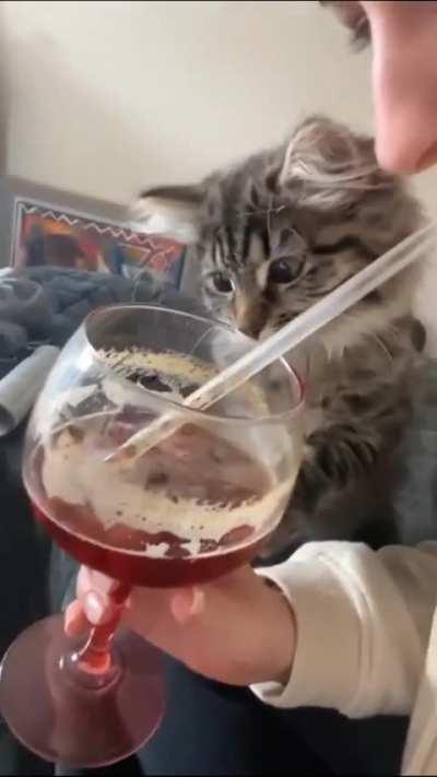 Dumbass Wunk can not comprehend fluid dynamics