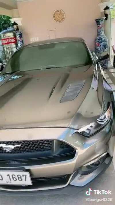 I said gay Elon 3 times and this happened