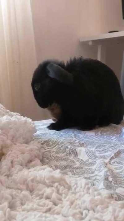 That lil bunny toe🐰🐇❤️ oh myyyyy