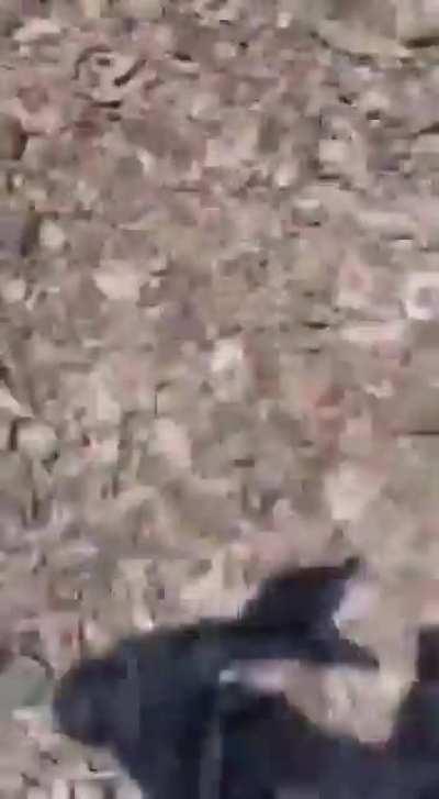 What could go wrong driving on an edge