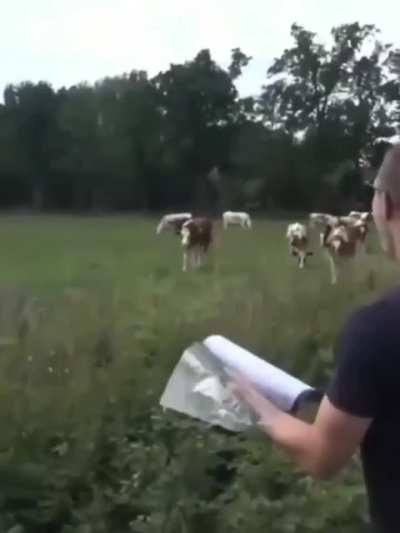 Todo mundo tem talento, basta encontrar o seu