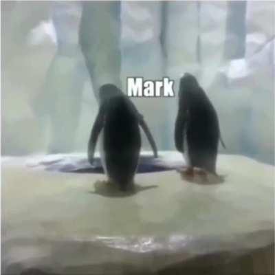 Just a normal day at the South Pole