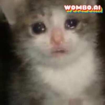 Sad boi doesn't know what's goin on :(