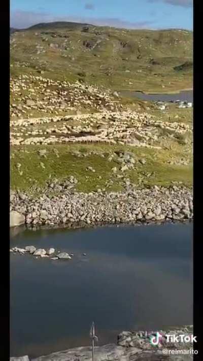 When you take out a pack of gum at school.