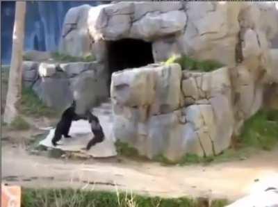 chat de orslok castigando a orslok por ser baneado