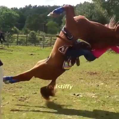 Yeooooo I what that horse doin?