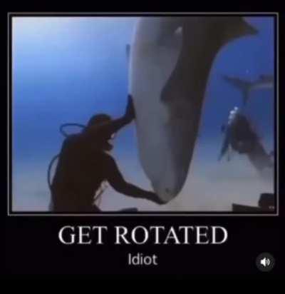 Blursed shark attack