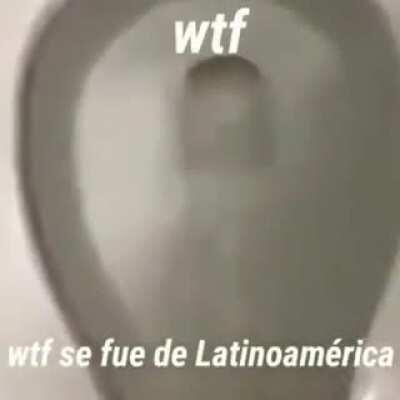 reacciónen a mi vídeo porfavor