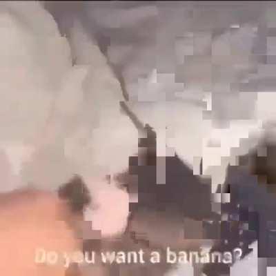 Can we make this canon? (V1 loves bananer)