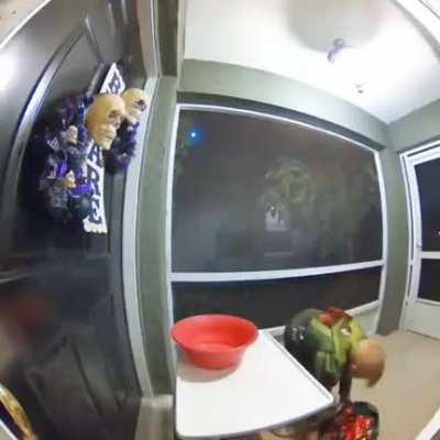 chad kid on Halloween