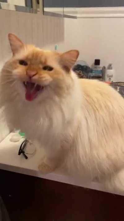 Startled Activation from Miss MacReady