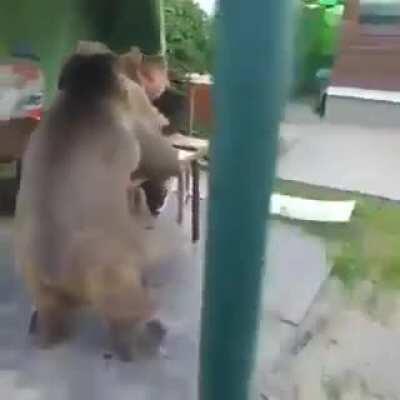 Russian family eating watermelon in their backyard