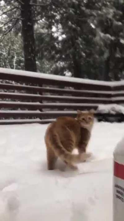 That white dirt feels funny