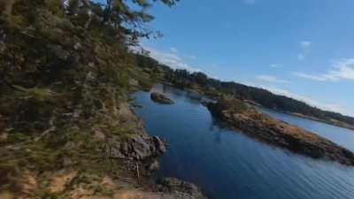 short clip of some recent clips. shot on DJI FPV