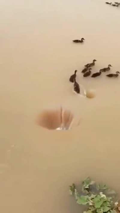 Drones finding the backdoor to the matrix