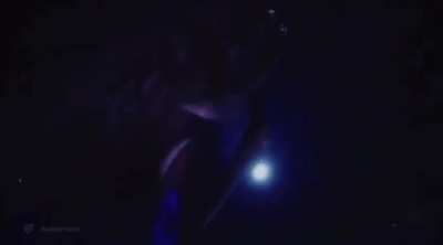 The Swiss entry piece without the camera glitch