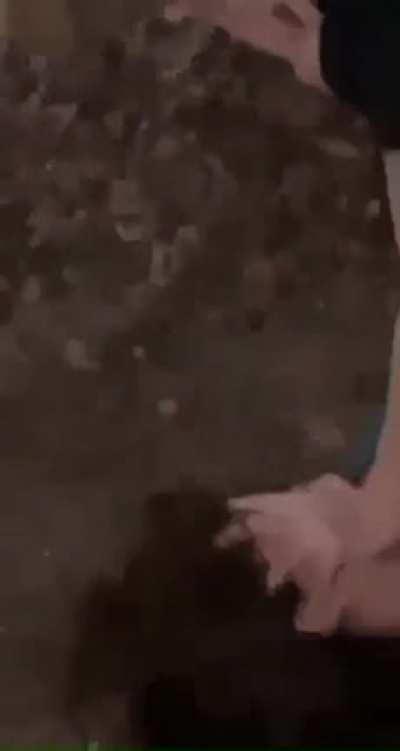 Kick in face and spit on 😍