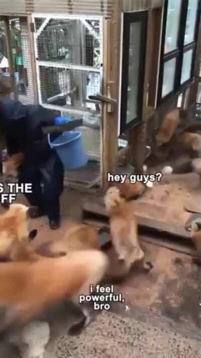 O Ya that's the good stuff