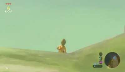A rare video of link at the olympics