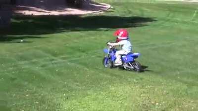 Huge open grass field... one tree way off to the side...