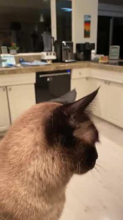 My 70 y/o father sent me this just now. A nightly conversation between him and his pal.