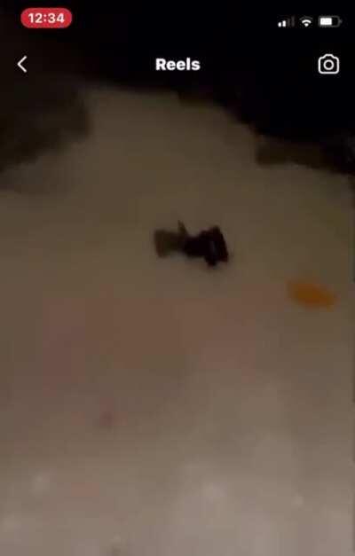 “That’s what I’m talking about!”