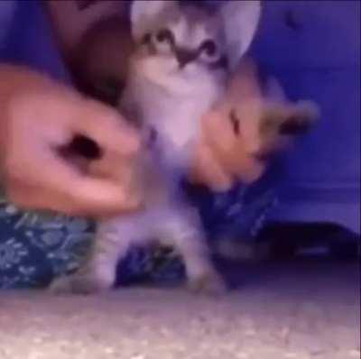 I'm on the toilet as I post this