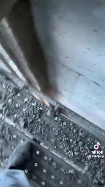 Feels like the start of a live leak video