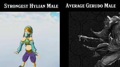 [ToTK] differences between Link and Ganondorf