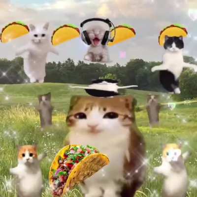 Taco
