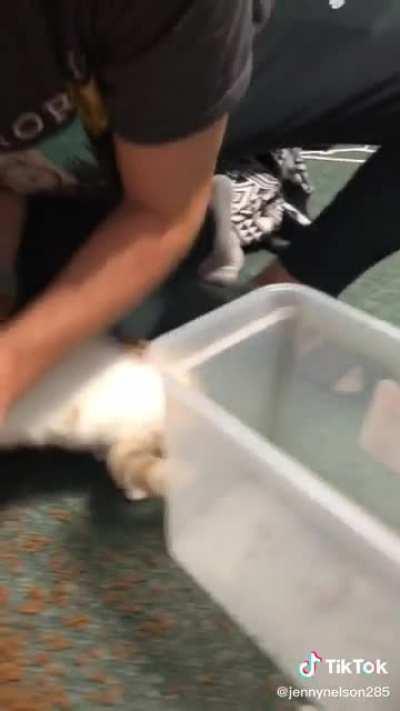 still love this video cause of how much i can relate to the guy