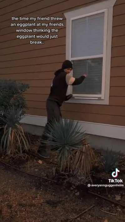Kid throws an eggplant through a friend’s window not realizing it would shatter