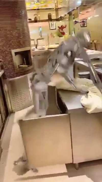 What T-800 doing? 🤨