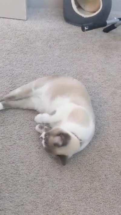 Guys, I think she wants something, but I'm not sure...