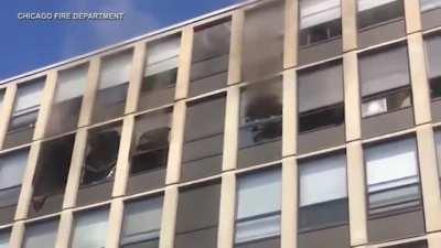 Used all its nine lives