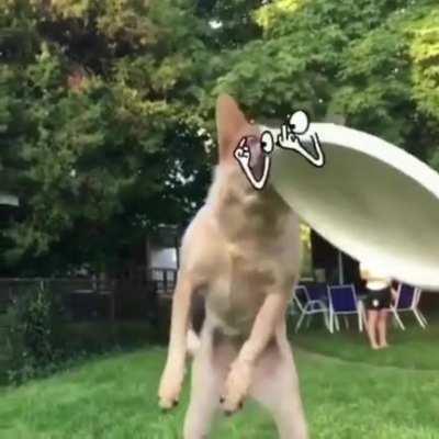 RIP Cameraman ⚰️