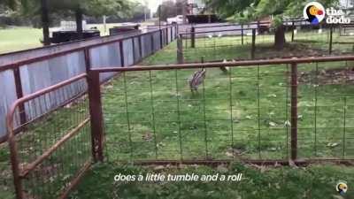 Когда заступился старший друг