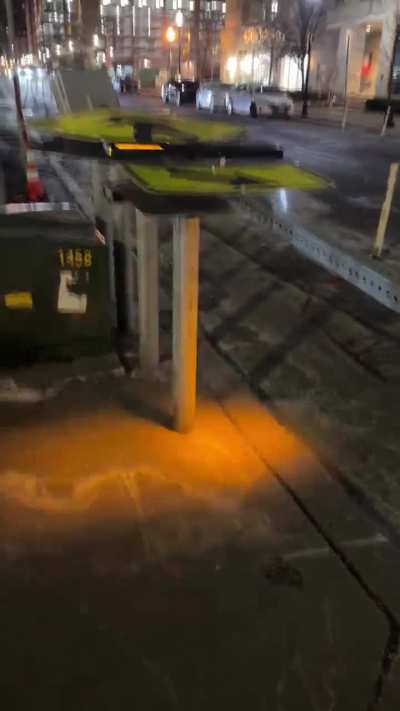 luxury pedestrian crossing ❤️