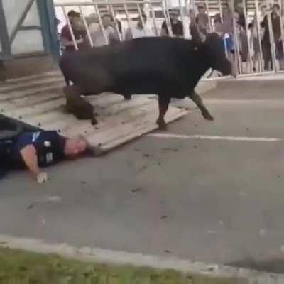 Overall, it could have been worse...