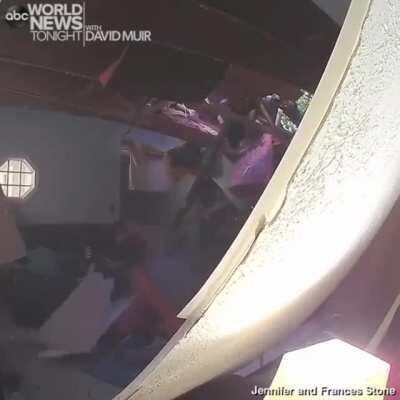 These people narrowly escaped death from a falling tree